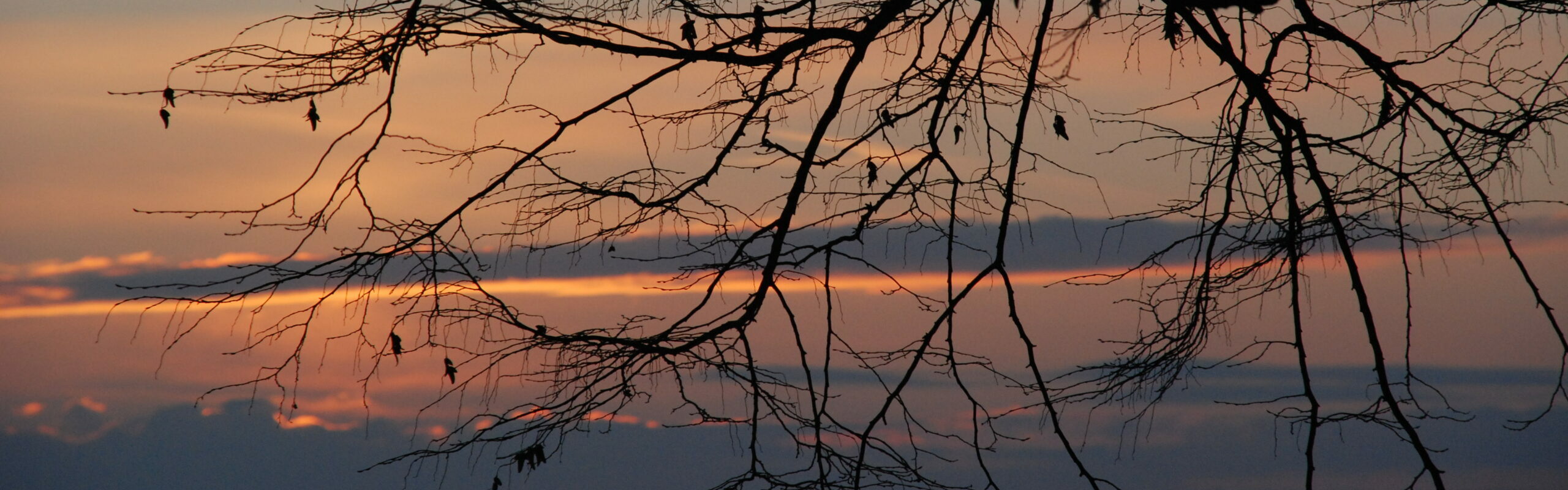 Blick in den Himmel bei Sonnenuntergang