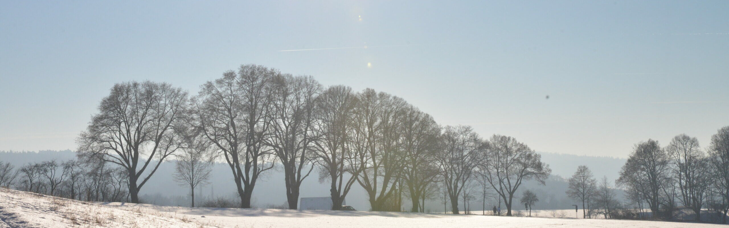 verschneite Winterlandschaft bei Sonnenschein mit Blick auf Baumreihe